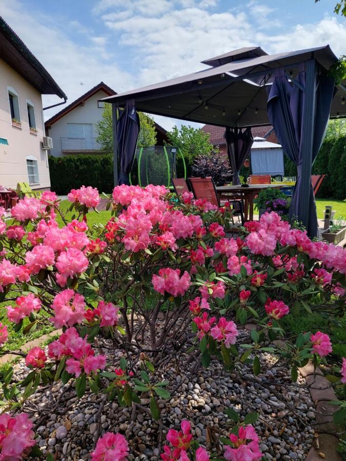 Studio Apartma Zirovnik Cerklje na Gorenjskem Exterior foto